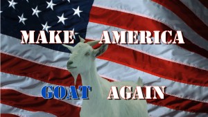 Goat Rodeo Make America Goat Again